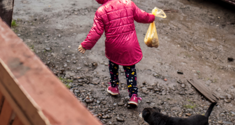 prisión preventiva acusada Concón
