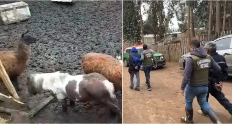 Captura de videos | Carabineros