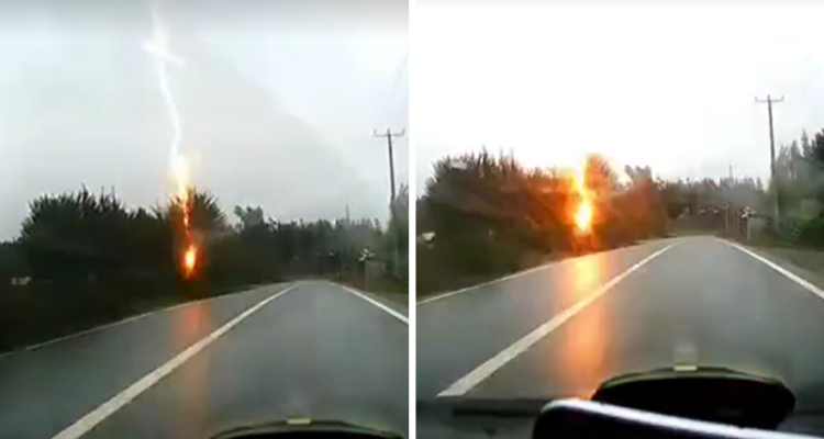 Impresionante: conductor graba el momento exacto en que rayo cae sobre un árbol en ruta de Cañete