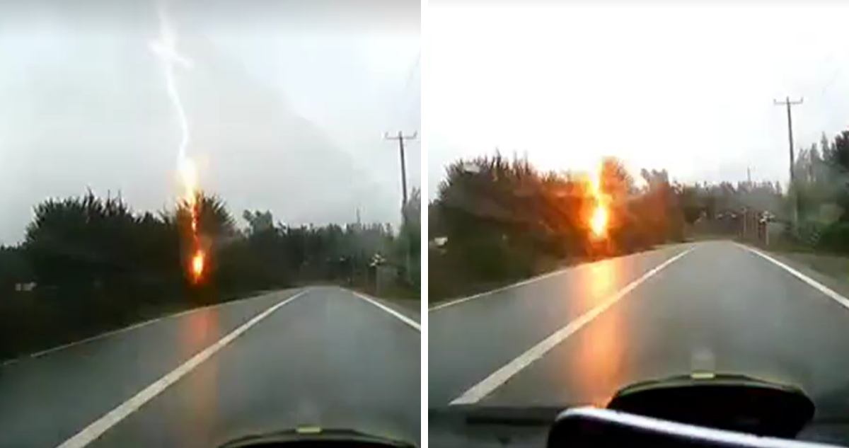 Impresionante: conductor graba el momento exacto en que rayo cae sobre un árbol en ruta de Cañete