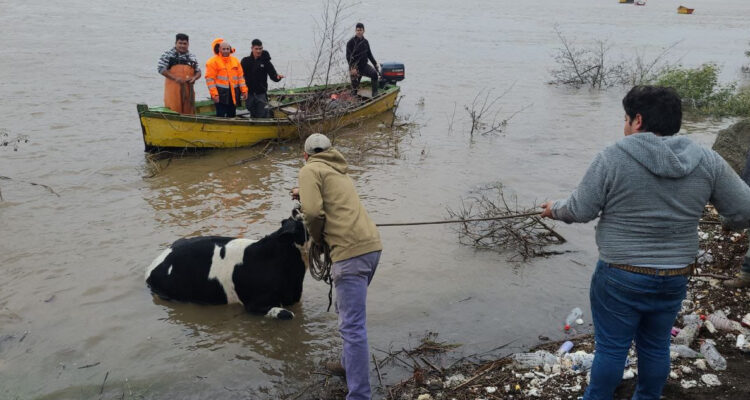 Mauricio Gándara | Radio Bío Bío