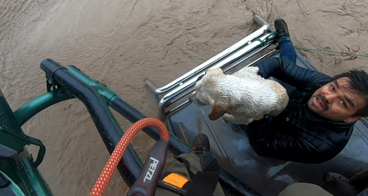 El emotivo rescate de un perro y dos personas tras desborde del río Maipo en Talagante