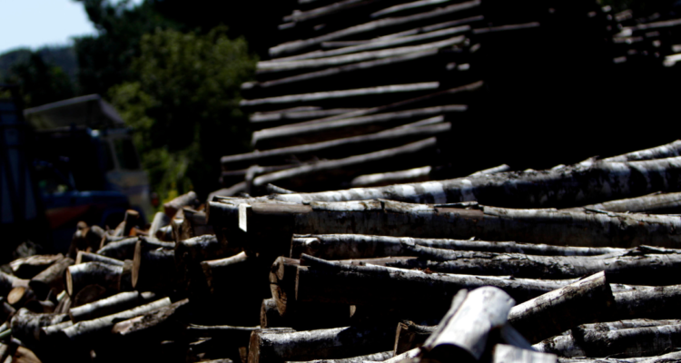 robo madera Curanilahue