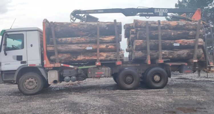 Detenido por robo de madera en Lautaro