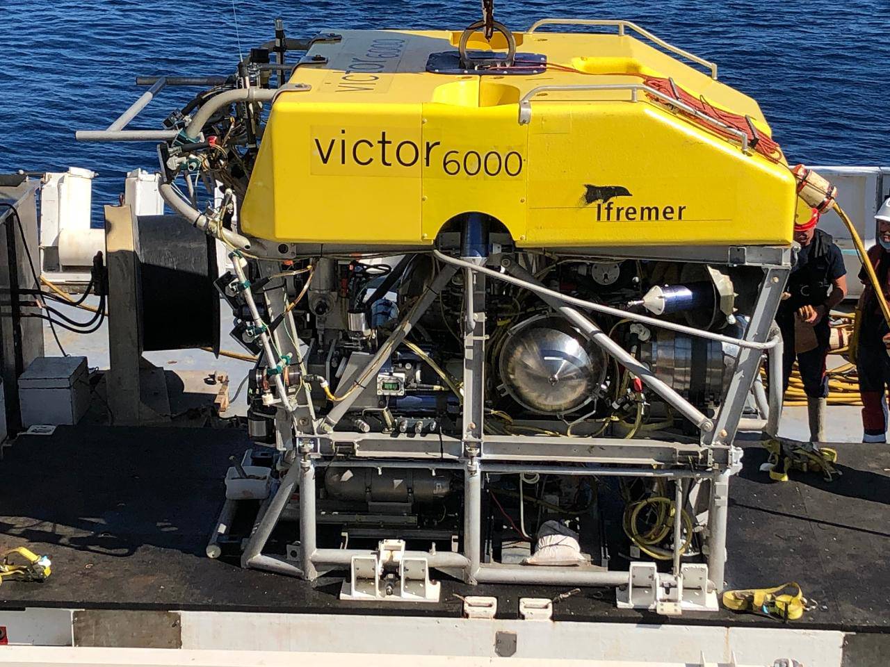 Victor 6000