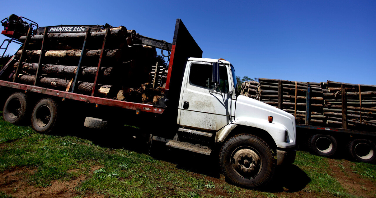 Alcaldes de La Araucanía piden Royalty Forestal para Macrozona Sur: “Es momento de hacer justicia”