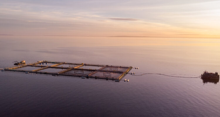 Contexto – Felipe Constanzo – Agencia UNO