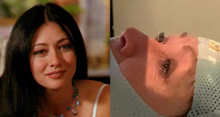 shannen doherty