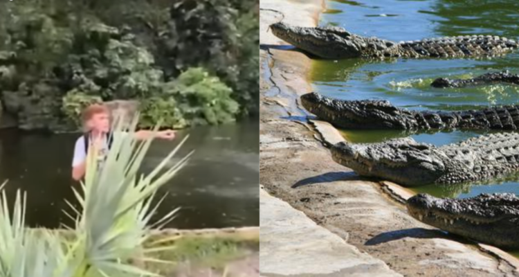 Jacob Pursifull en sector de zoo