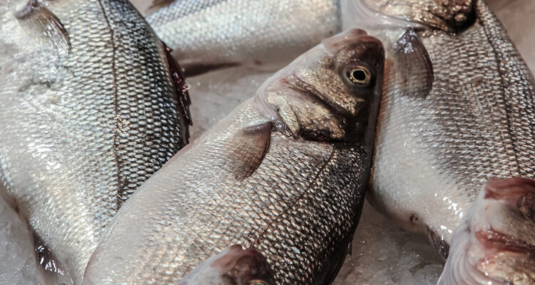 Tilapia, uno de los pescados menos recomendables del supermercado