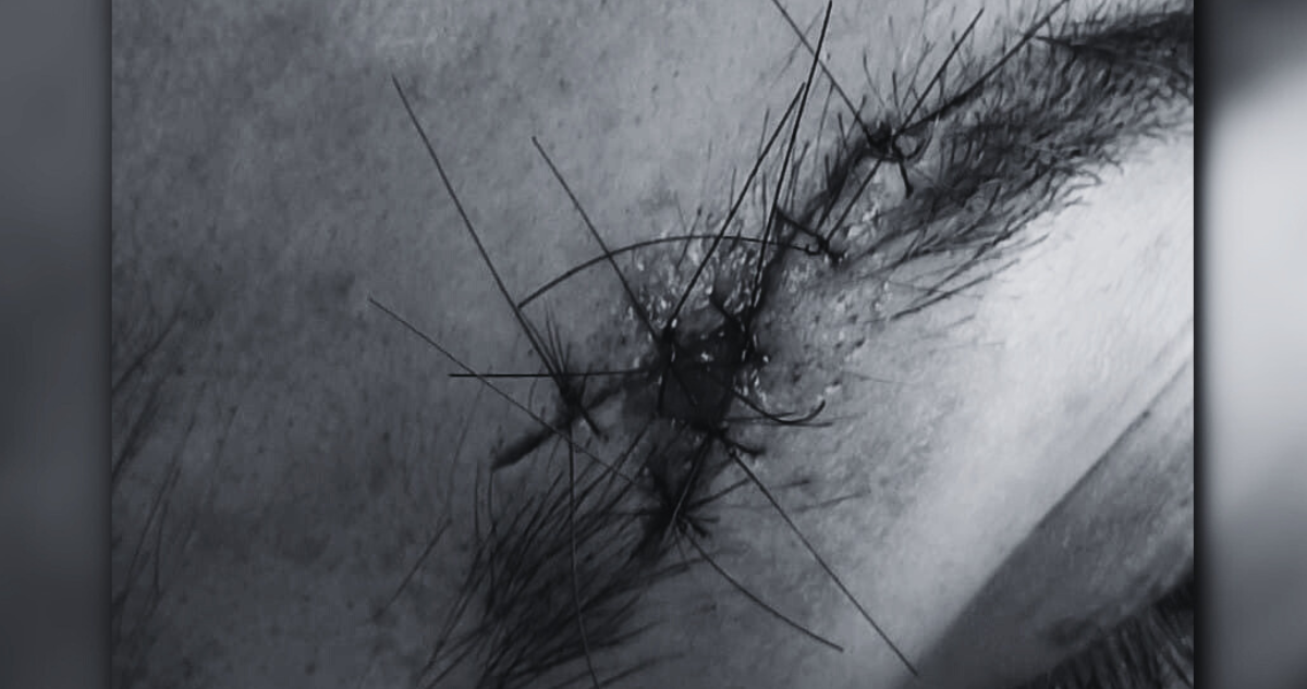 tomaron casa Talcahuano