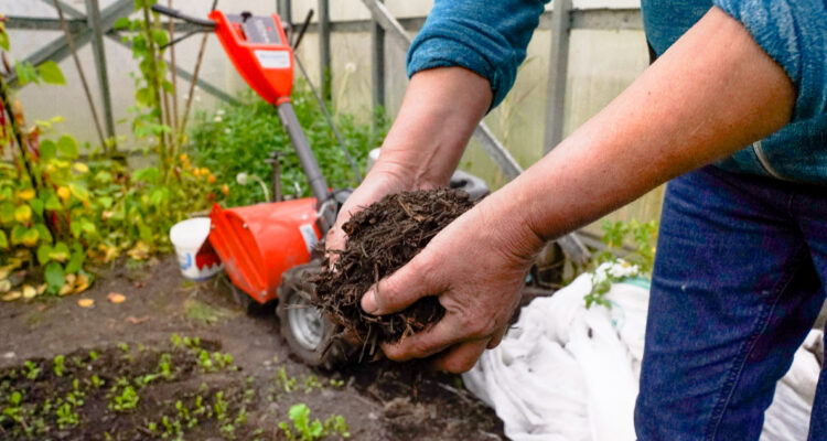 Programa de Transición a la Agricultura Sostenible