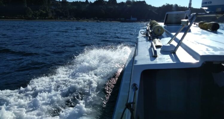 Municipalidad de Quinchao 