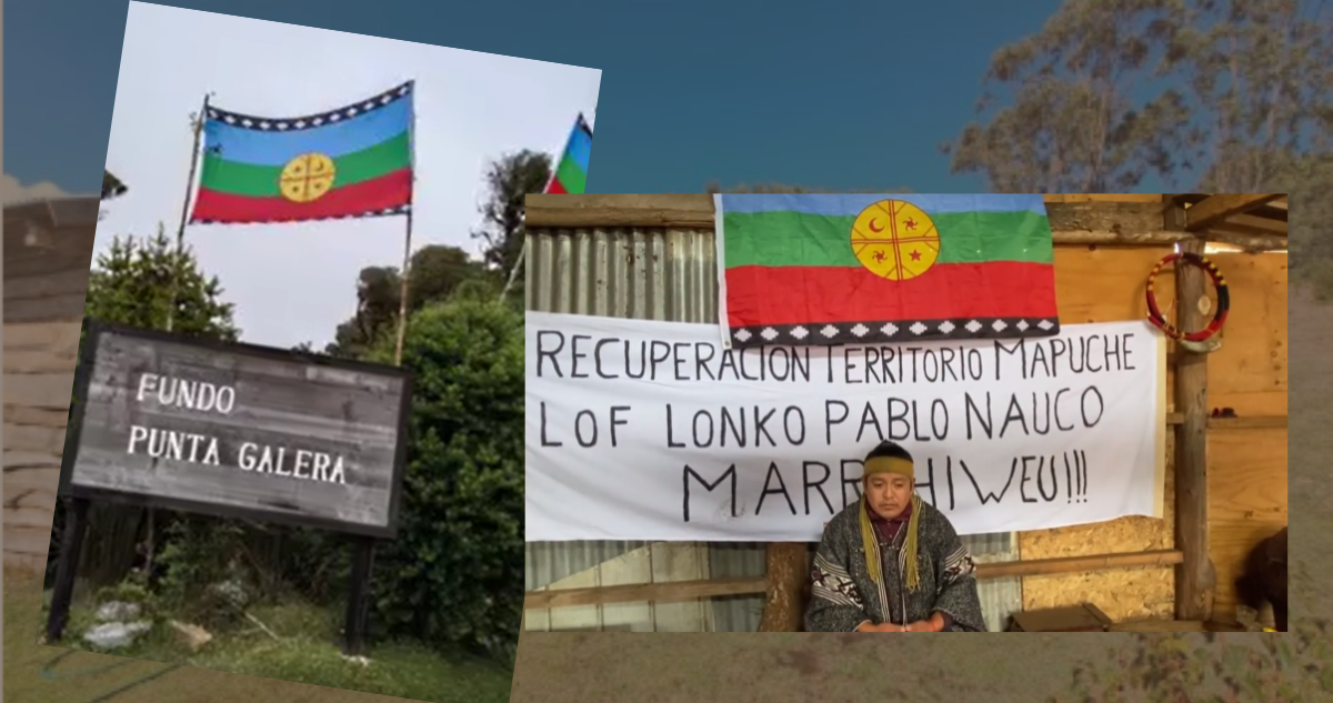 Corte acoge que comuneros con orden de alejamiento asistan a We Tripantu en predio usurpad