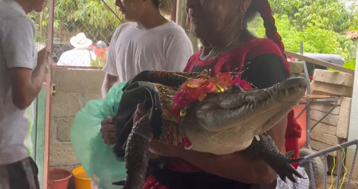 Alcalde mexicano contrae matrimonio con un caimán en simbólico ritual ancestral