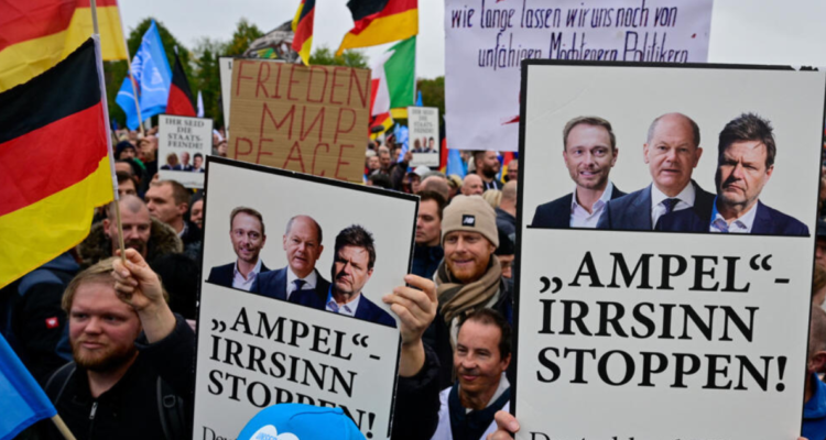 Adherentes de Alternativa para Alemania