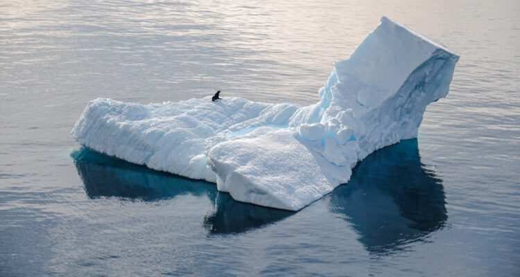 El hielo marino de la Antártica alcanzó un mínimo invernal histórico en junio de 2023: ¿Qué significa?