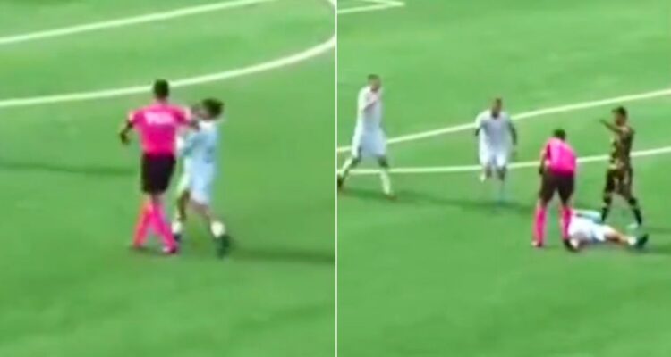 Captura I @dalesau.cl
