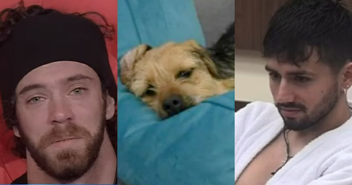 GRAN HERMANO
