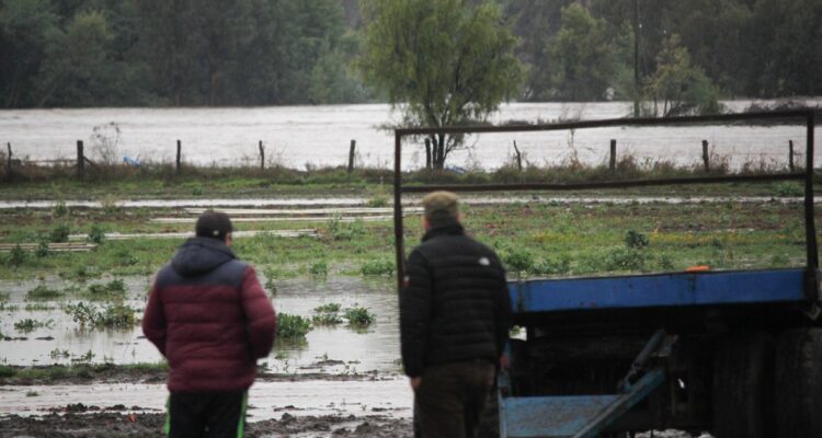 Archivo | Agencia UNO