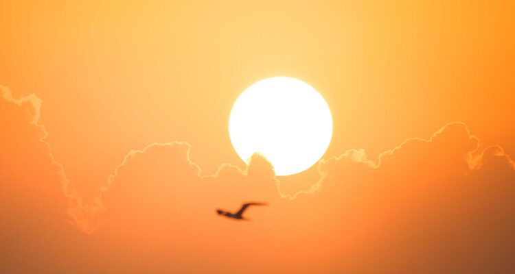 Junio de 2023 ha sido el más caluroso de la Tierra jamás registrado y julio podría ser peor