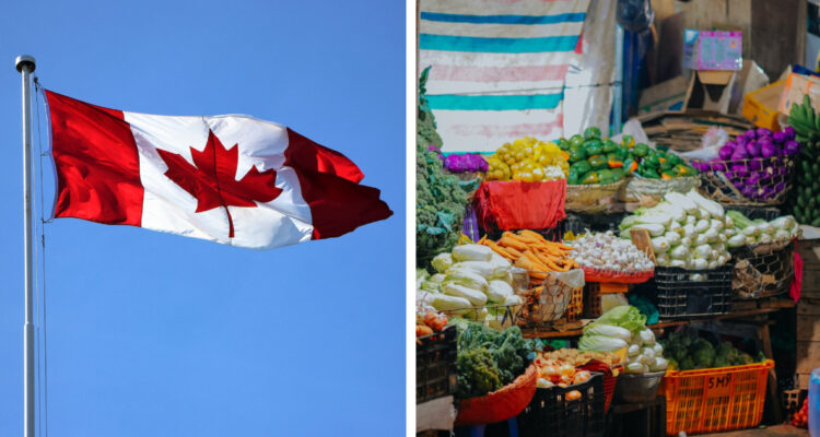 Bandera de Canadá y una feria de alimentos