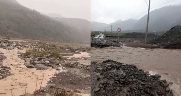 Autoridades buscan instalar pasarela para que 34 familias aisladas accedan a insumos en Alto Bío Bío