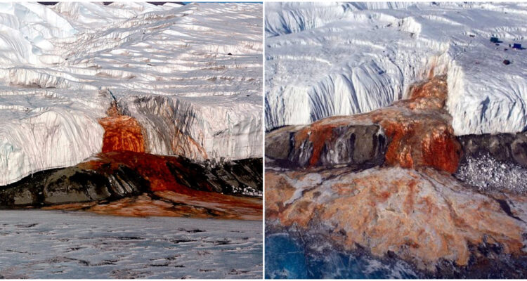Cataratas de “sangre” de la Antártica ¿qué son y por qué son importantes para la exploración espacial?