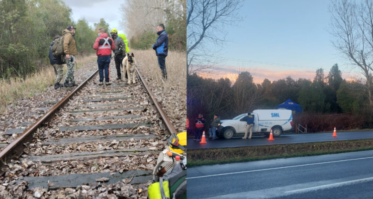 Hombre desaparecido hace 10 días es encontrado sin vida en vía férrea de sector Casma en Frutillar