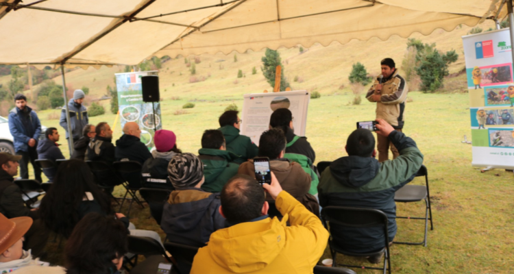 Conaf busca restaurar 700 hectáreas de bosque nativo en la región de Los Ríos