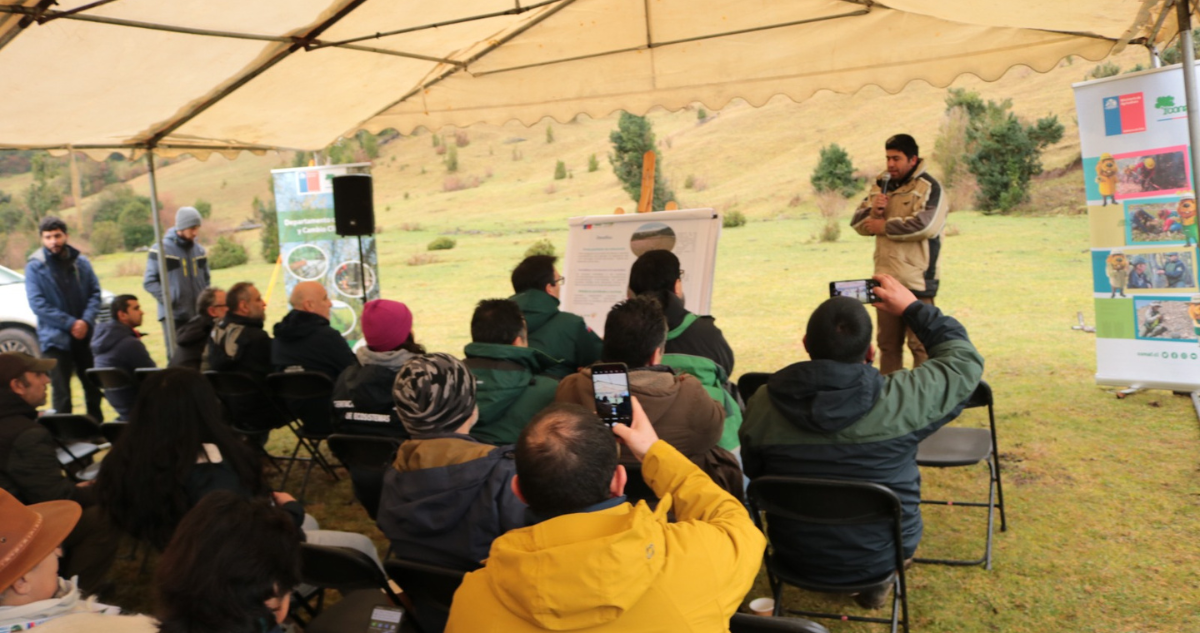 Conaf busca restaurar 700 hectáreas de bosque nativo en la región de Los Ríos