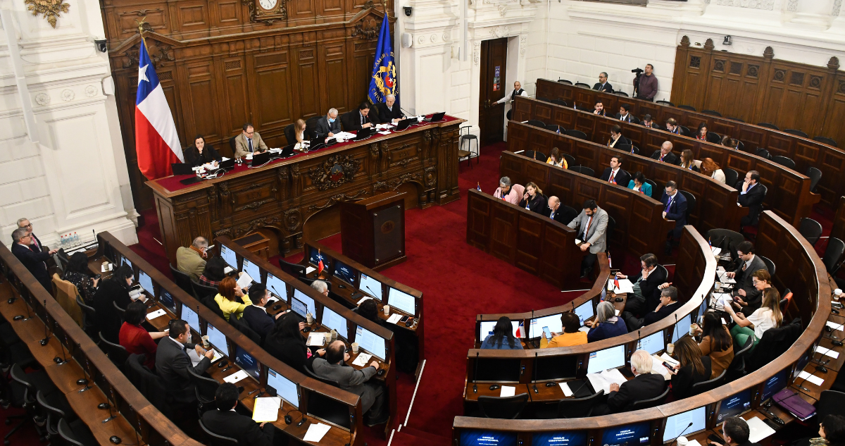 consejo constitucional