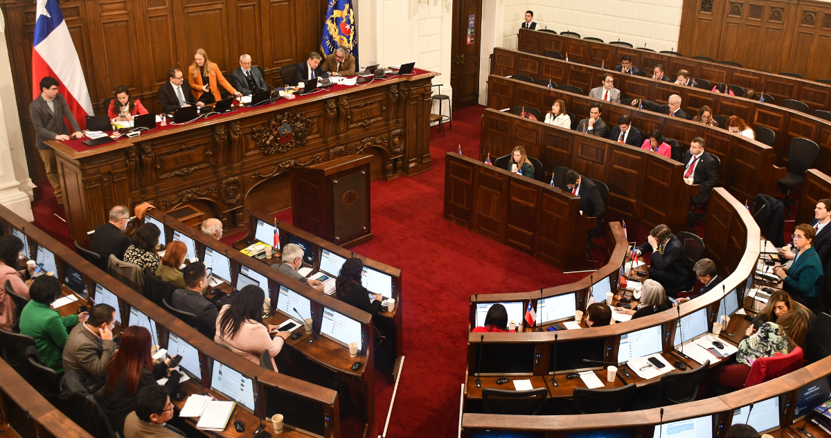 consejo constitucional