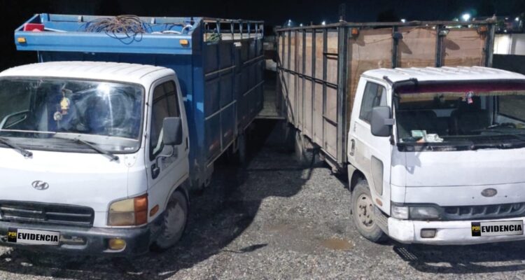 Detenidos por robo de madera en Mariquina