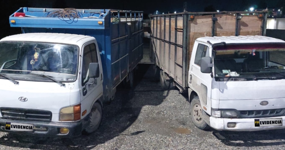 Detenidos por robo de madera en Mariquina