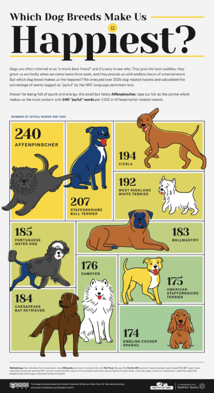 Día del perro: las razas preferidas según Twitter