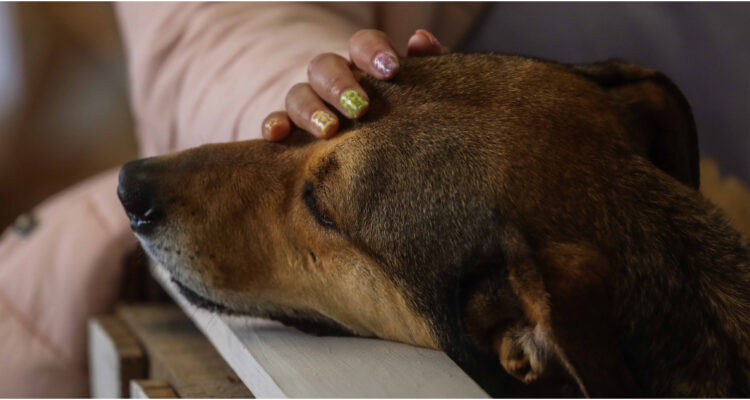 Contexto | Agencia UNO