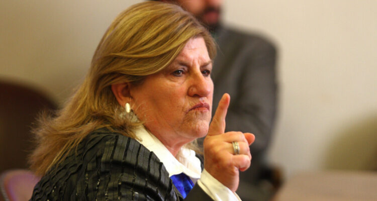 diputada gloria naveillan por fundacion de sobrino