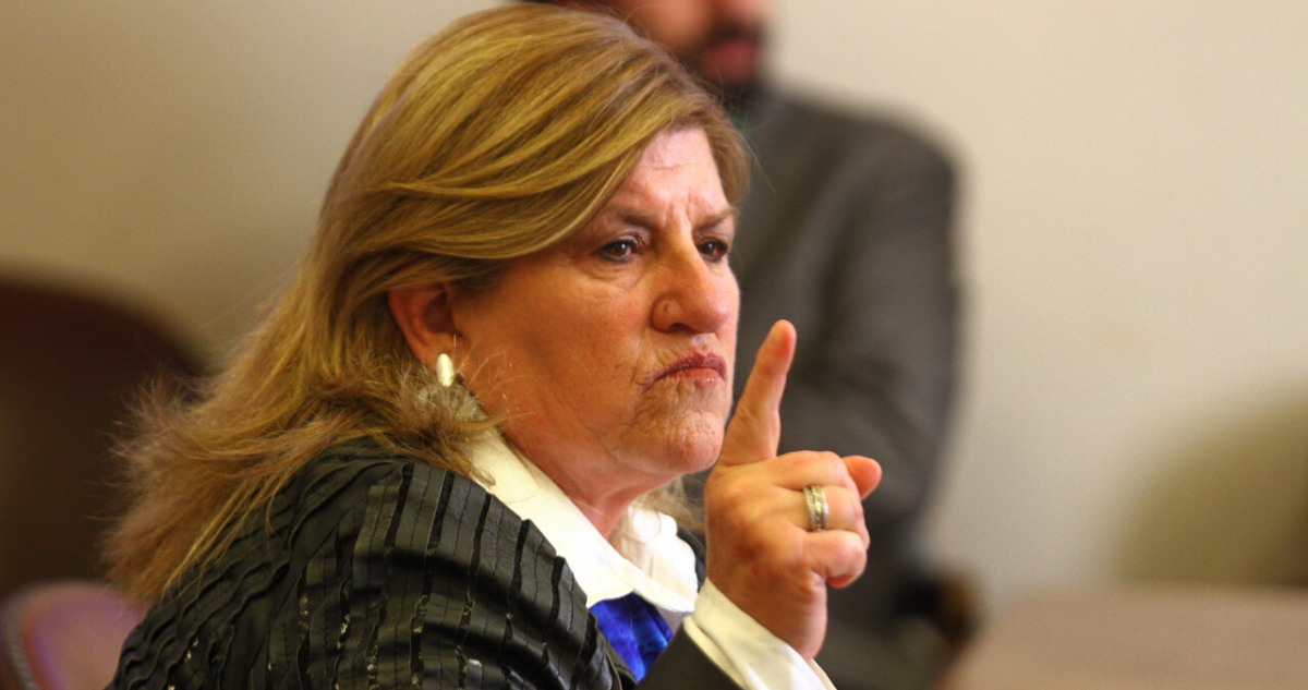 diputada gloria naveillan por fundacion de sobrino