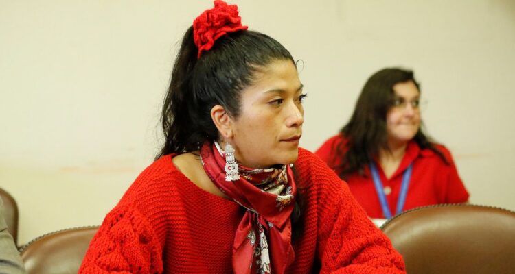 “Delincuentes”: piden citar a Ñanco a declarar tras vincular a la oposición con robos a ministerios