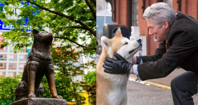 Este año Hachiko cumple cien años