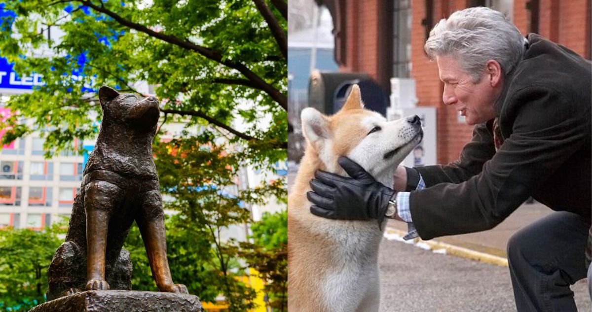 Este año Hachiko cumple cien años