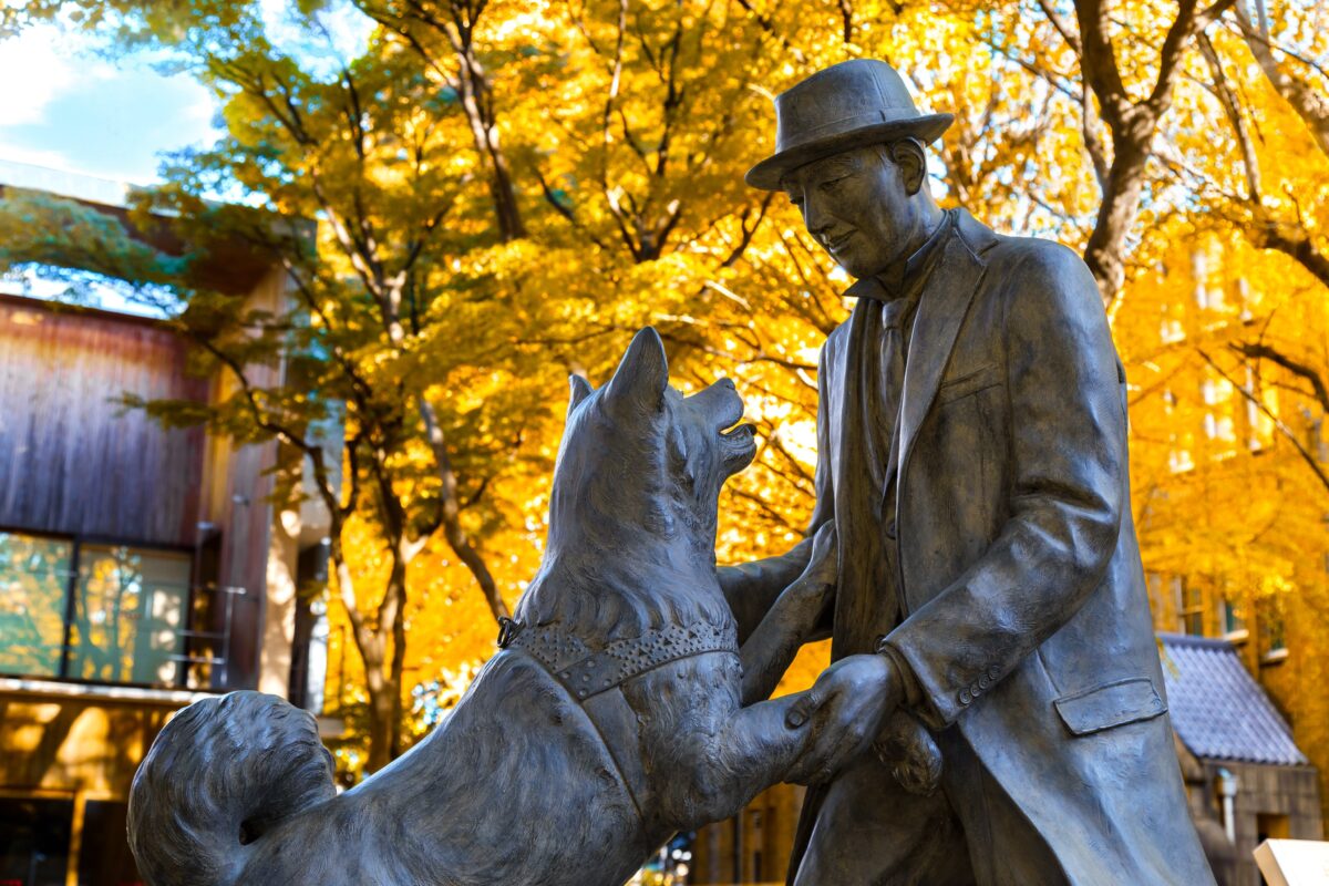 La verdadera historia de Hachiko, el perro que esperó durante diez años ...
