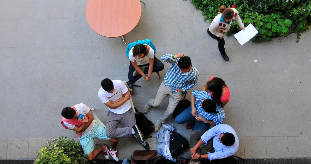 Educación Superior: modernización para el desarrollo y el bienestar