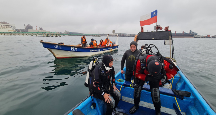 elementos contaminantes