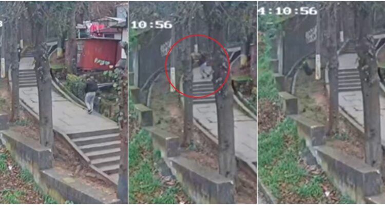 empujan-a-indigente-en-lota-persona situacion calle