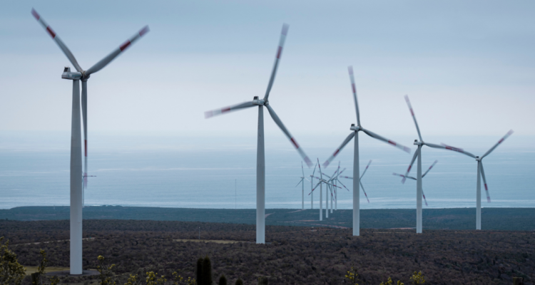 Hablemos en simple sobre la descarbonización