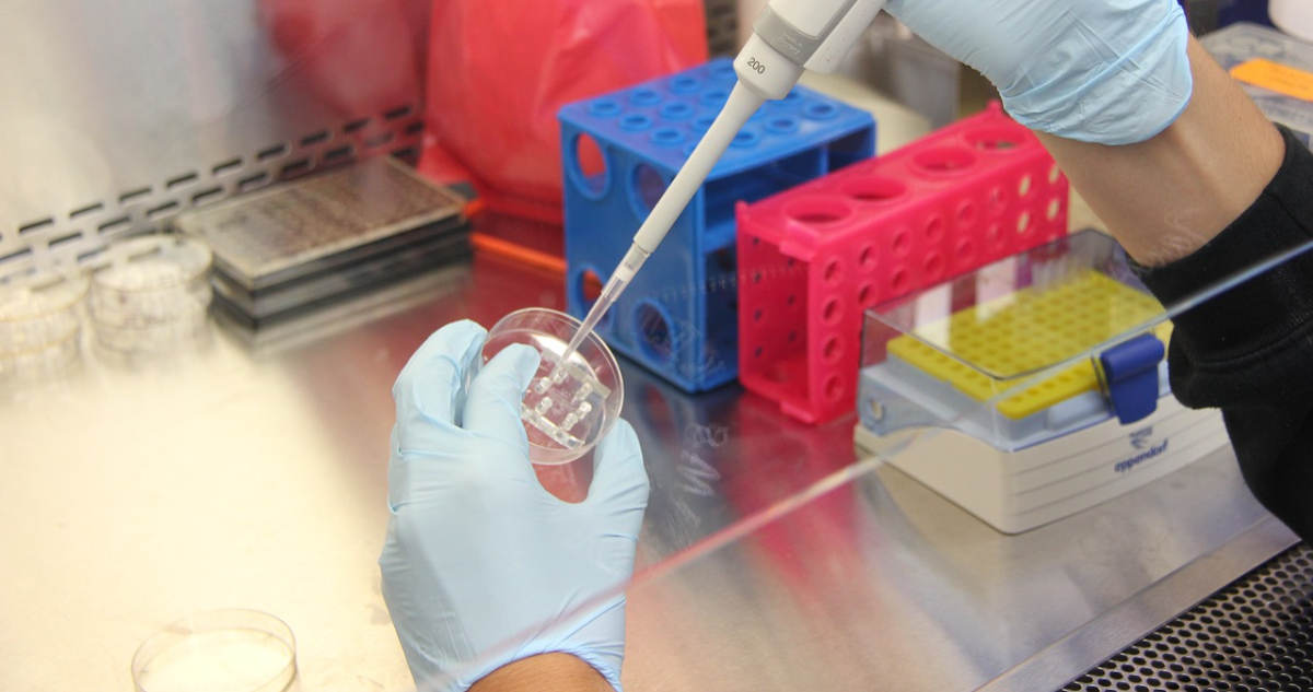 Descubren que un compuesto abundante del esperma humano estaría inhibiendo una variante del VIH