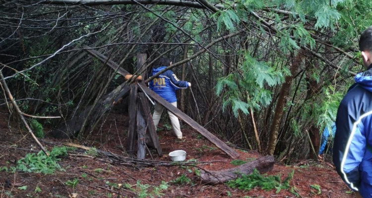 Hallan restos humanos en búsqueda por mujer extraviada en Petrohué: tendría signos de ataque de puma