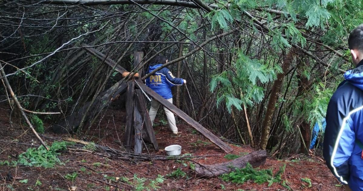 Hallan restos humanos en búsqueda por mujer extraviada en Petrohué: tendría signos de ataque de puma